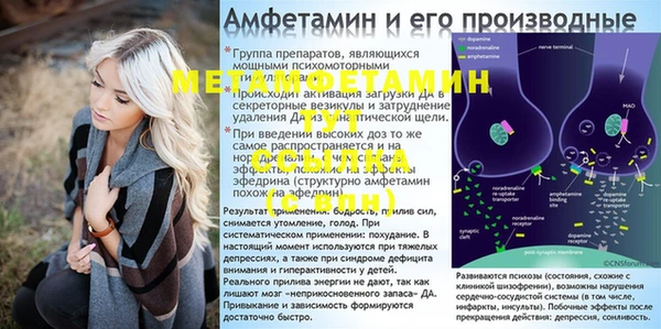 крисы Каменск-Шахтинский