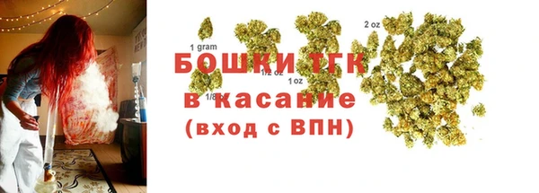 гидра Калининец