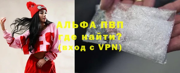стаф Каменка