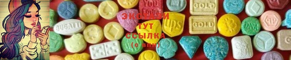 стаф Каменка