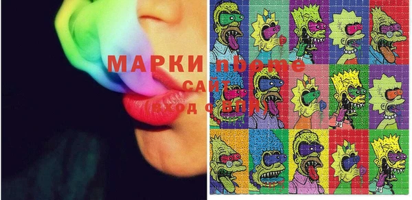 стаф Каменка