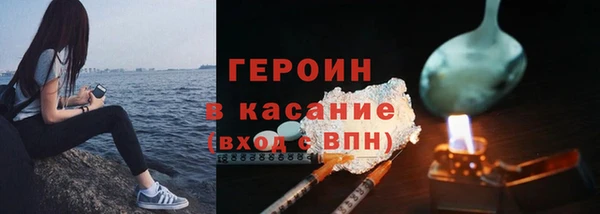 стаф Каменка