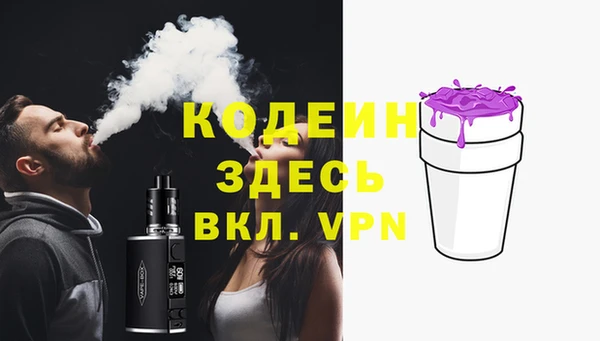 хмурый Нестеровская