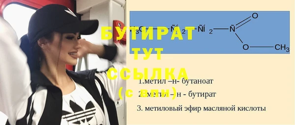 стаф Каменка