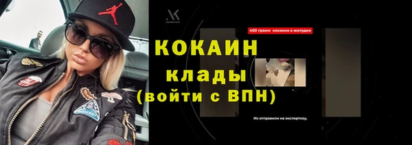 стаф Каменка