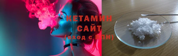 стаф Каменка