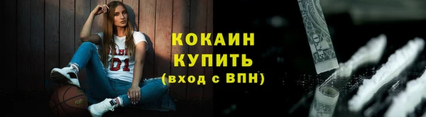 стаф Каменка