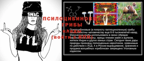 стаф Каменка