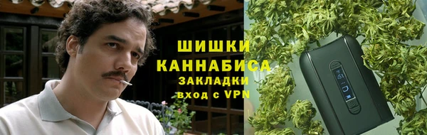 стаф Каменка